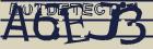 Retype the CAPTCHA code from the image
