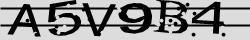 Retype the CAPTCHA code from the image