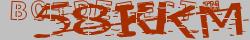 Retype the CAPTCHA code from the image