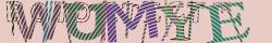 Retype the CAPTCHA code from the image