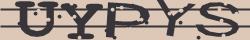 Retype the CAPTCHA code from the image