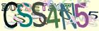 Retype the CAPTCHA code from the image