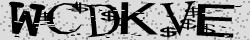 Retype the CAPTCHA code from the image
