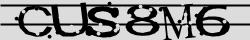 Retype the CAPTCHA code from the image