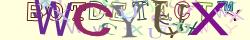 Retype the CAPTCHA code from the image