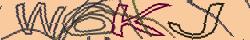 Retype the CAPTCHA code from the image