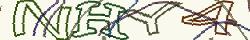 Retype the CAPTCHA code from the image