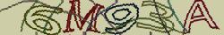 Retype the CAPTCHA code from the image