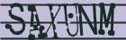 Retype the CAPTCHA code from the image