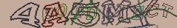 Retype the CAPTCHA code from the image