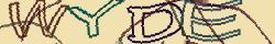 Retype the CAPTCHA code from the image