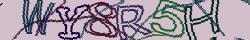 Retype the CAPTCHA code from the image