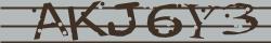 Retype the CAPTCHA code from the image