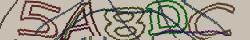 Retype the CAPTCHA code from the image