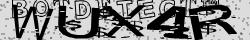 Retype the CAPTCHA code from the image