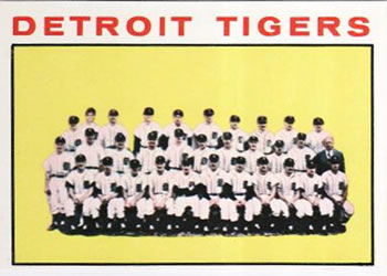 Detroit Tigers Team