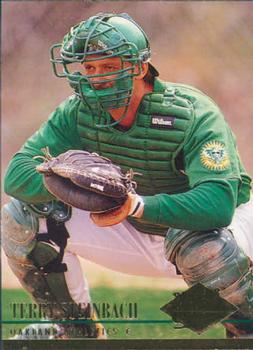 Terry Steinbach