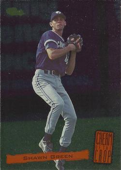 Shawn Green