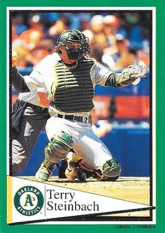 Terry Steinbach