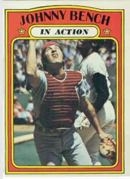 Johnny Bench IA