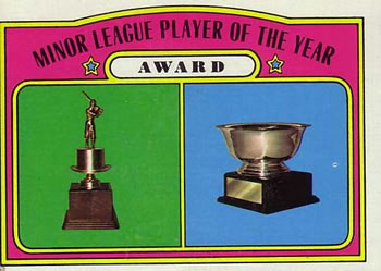 Minor League Player of the Year