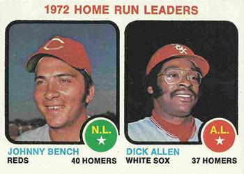 Home Run Leaders - Johnny Bench / Dick Allen