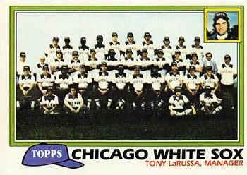 White Sox Team