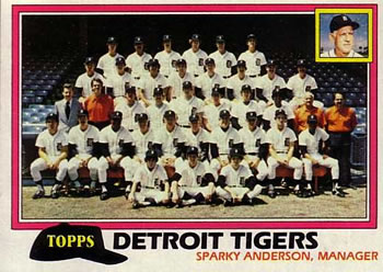 Tigers Team