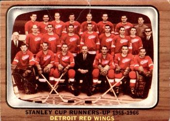 Detroit Red Wings/ Team Card