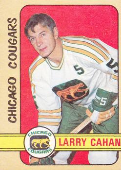 Larry Cahan