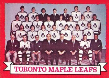 Maple Leafs Team