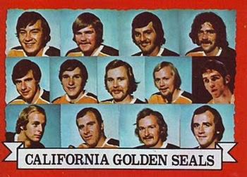 Golden Seals Team