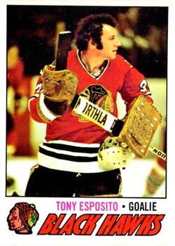 Tony Esposito