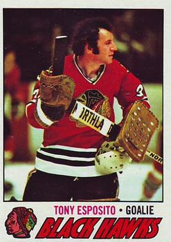 Tony Esposito