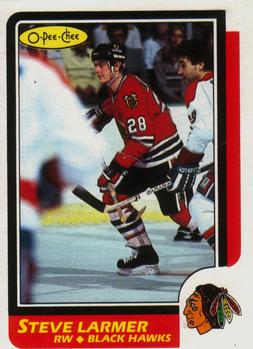 Steve Larmer