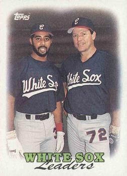 White Sox Team - Harold Baines/Carlton Fisk