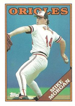 Mike Morgan