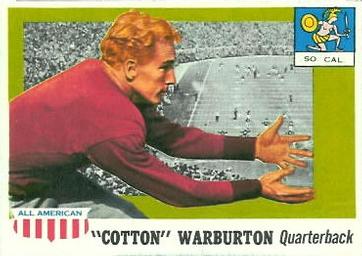 Cotton Warburton