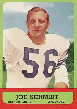 Joe Schmidt