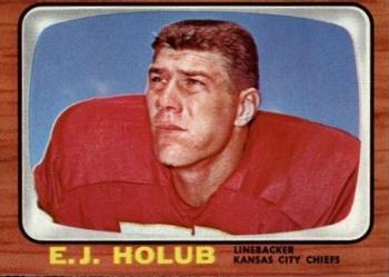 E.J. Holub