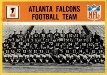 Falcons Team