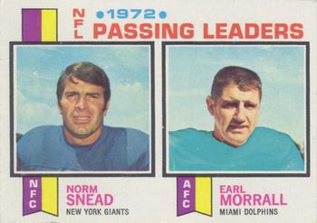 Passing Leaders - Norm Snead / Earl Morrall
