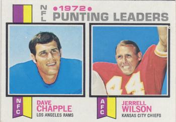 Punting Leaders - Dave Chapple / Jerrel Wilson
