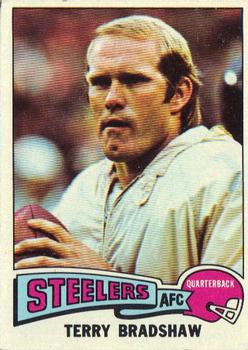 Terry Bradshaw