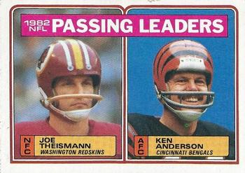 Passing Leaders - Joe Theismann / Ken Anderson