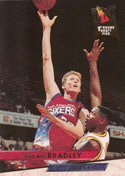 Shawn Bradley