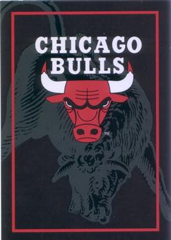Chicago Bulls TC