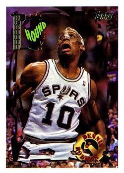 Dennis Rodman SPEC