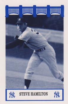 Steve Hamilton