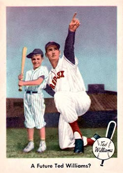 A Future Ted Williams